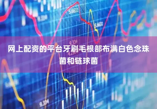 网上配资的平台牙刷毛根部布满白色念珠菌和链球菌