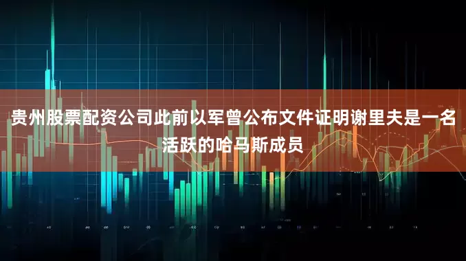 贵州股票配资公司此前以军曾公布文件证明谢里夫是一名活跃的哈马斯成员